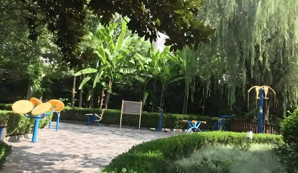 红楼之痴颦泪
